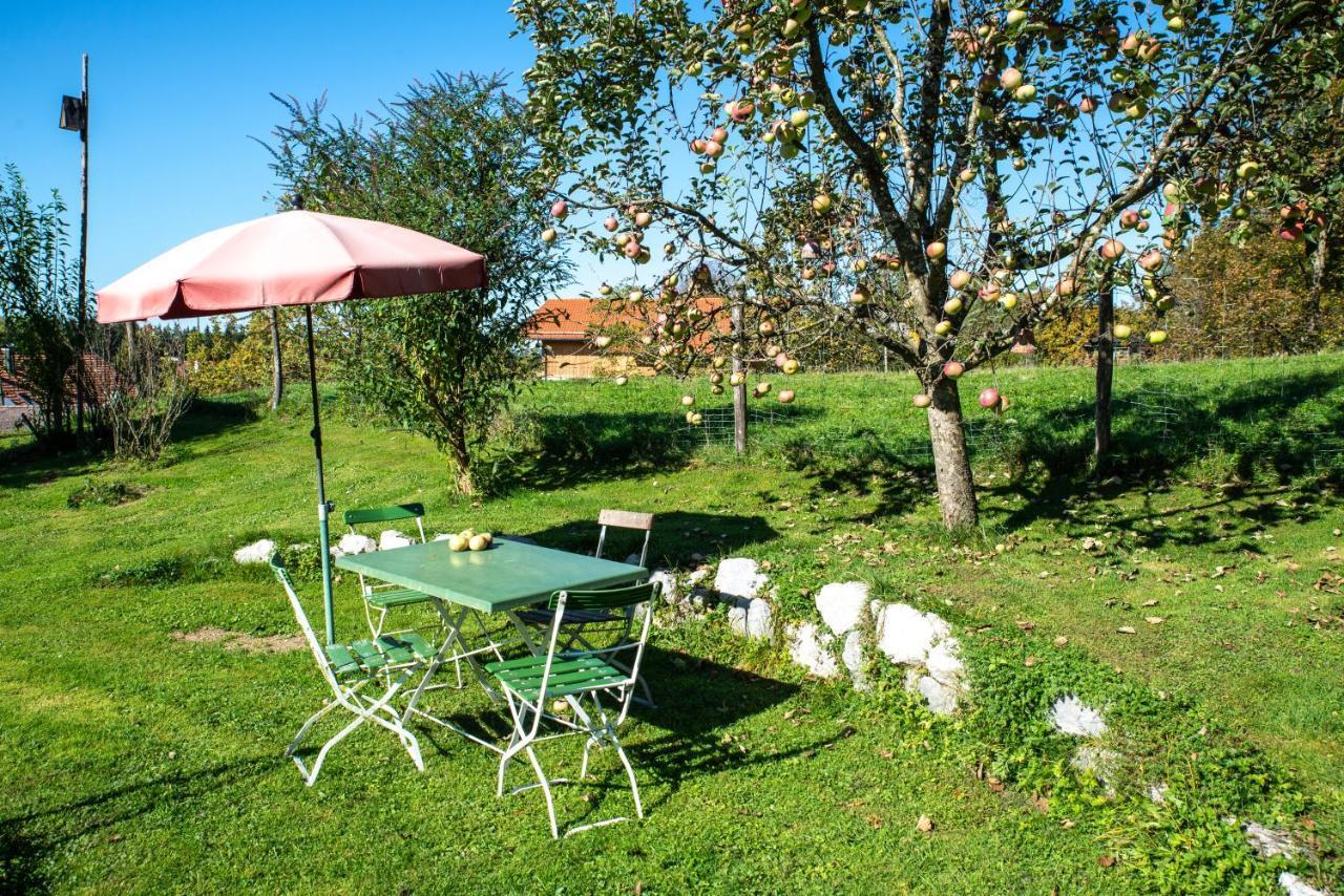 Haus Heufelder Apartment